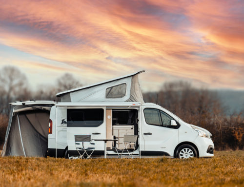 Stylevan Austral IV